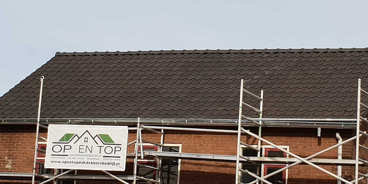dakpannen-Rijswijk